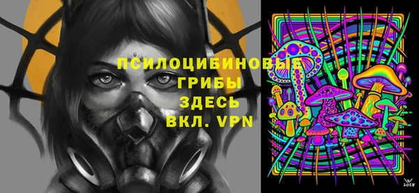 ГАЛЛЮЦИНОГЕННЫЕ ГРИБЫ Балабаново