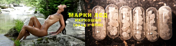 ГАЛЛЮЦИНОГЕННЫЕ ГРИБЫ Балабаново